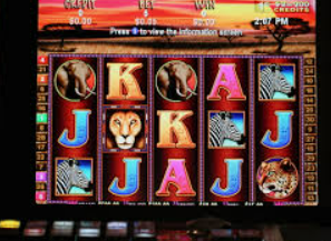 天庭娱乐3621官网版免费版