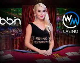 天庭娱乐3621官网版最新版